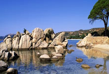 赛后比利亚雷亚尔备战足总杯；伤情更新细节曝光；引发热议；更衣室氛围转暖的简单介绍-爱游戏官方app下载